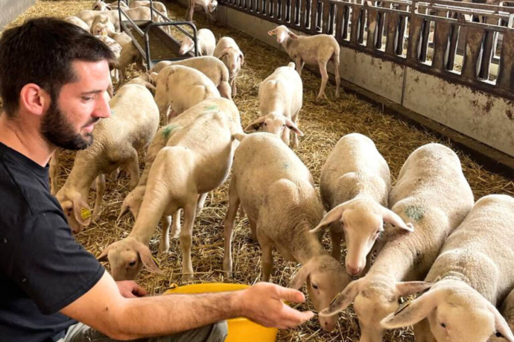 Vincent Bonnet - Eleveur de brebis en Lozère