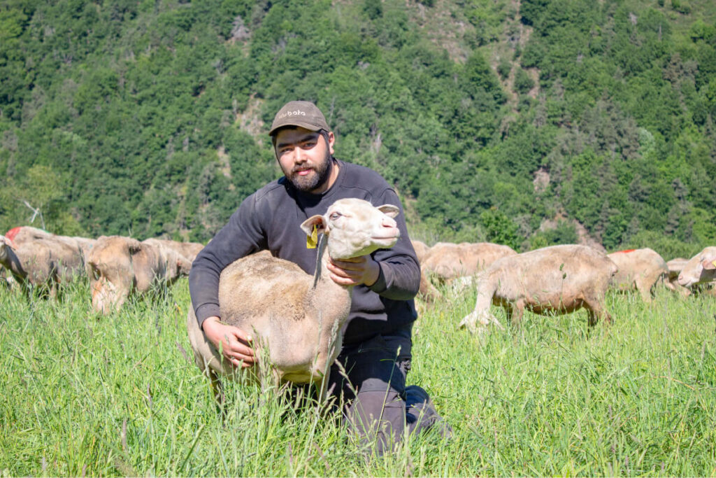 Eleveur de brebis en Lozère
