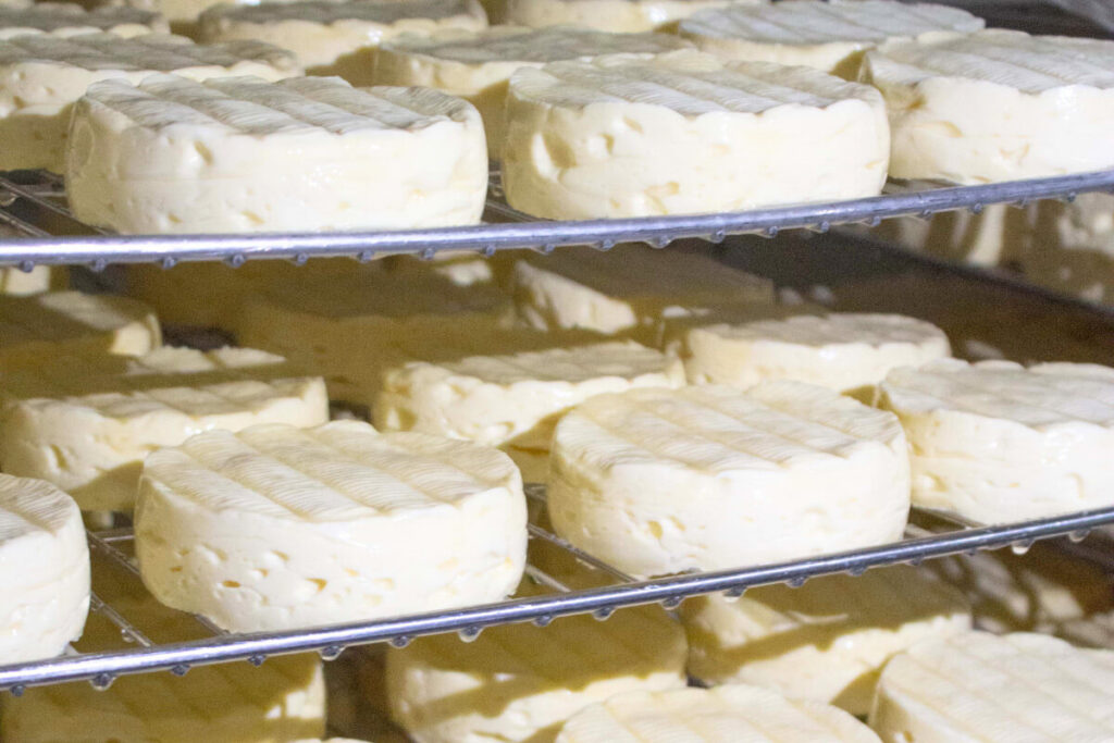 Fromages Duo Lozère