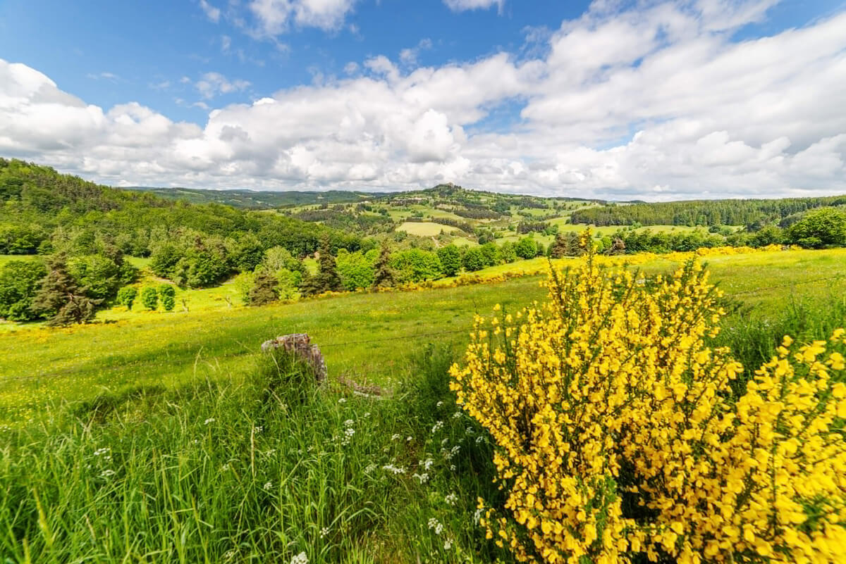 Paysage de Lozère @ Cédric Tétart